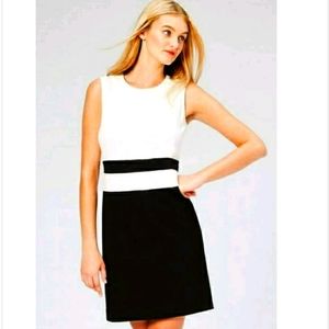 🆕⭐Black white Color block A-line dress black
